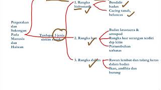 BIOLOGI BAB 2(BAHAGIAN 1) -PERGERAKAN DAN SOKONGAN(SPM TINGKATAN 5)