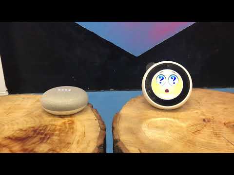 Google Home vs Amazon Alexa per 22HBG