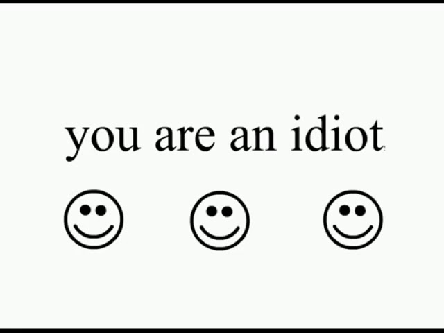 You Are An Idiot 10 Hour Version class=