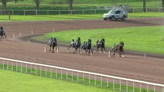 Vidéo de la course PMU FINALE IENA GOLD CUP 