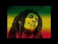 Bob Marley - Three Little Birds【1 HOUR】