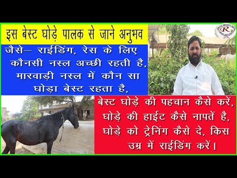 वीडियो: Knabstrup घोड़े की नस्ल हाइपोएलर्जेनिक, स्वास्थ्य और जीवन अवधि