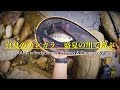真夏のテンカラ 盛夏の川で遊ぶ