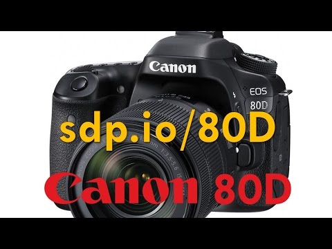 Canon EOS 80D（シャッター数700未満） Canon EOS 80D（シャッター数700未満） Canon機ユーザー必見