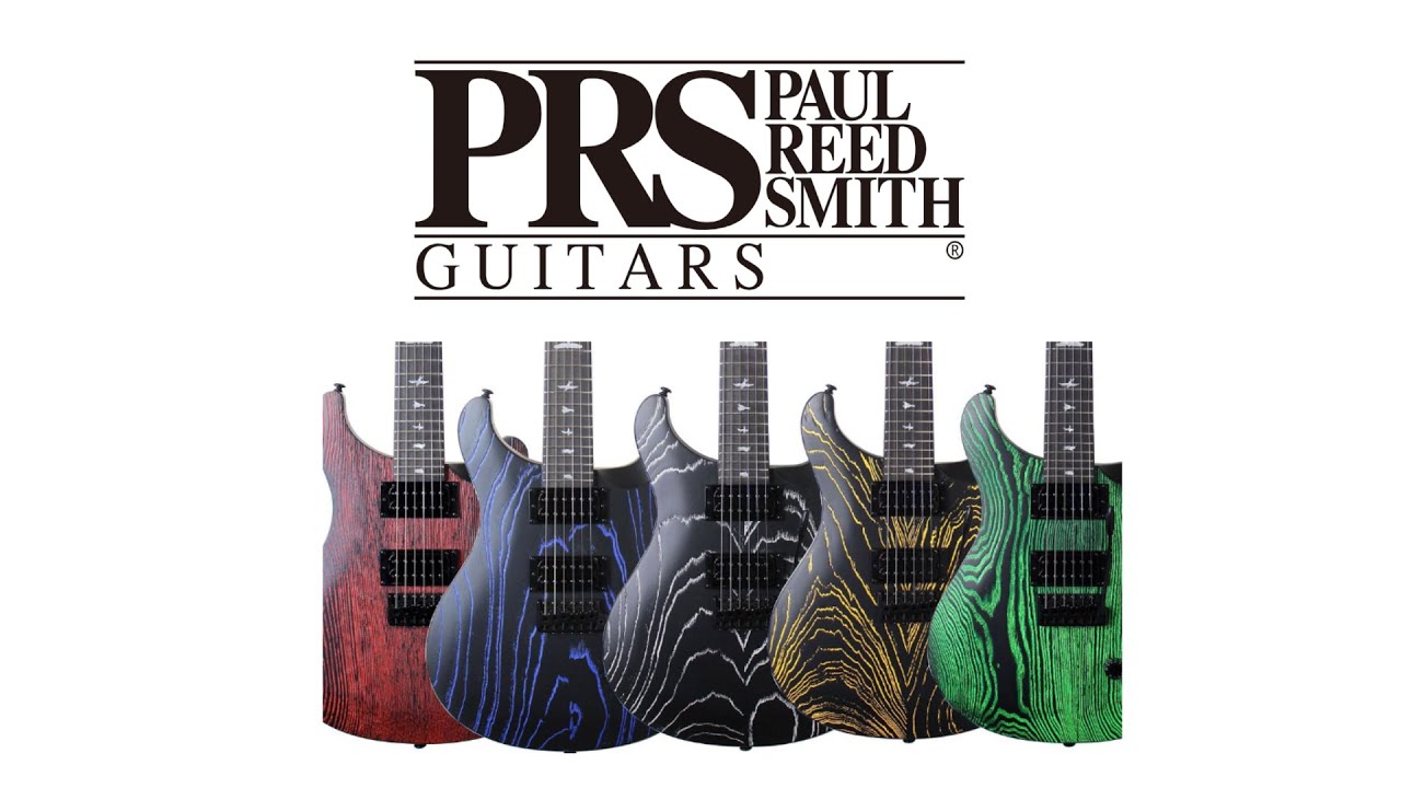 PRS SE Custom 24 Sand Blast - the guitar with a hamster - Another Guitar  Channel