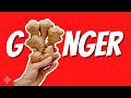 10 mind blowing benefits of ginger you never knew