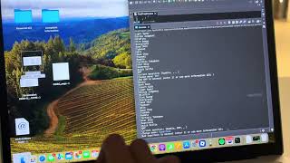 COSC1020  processing project final