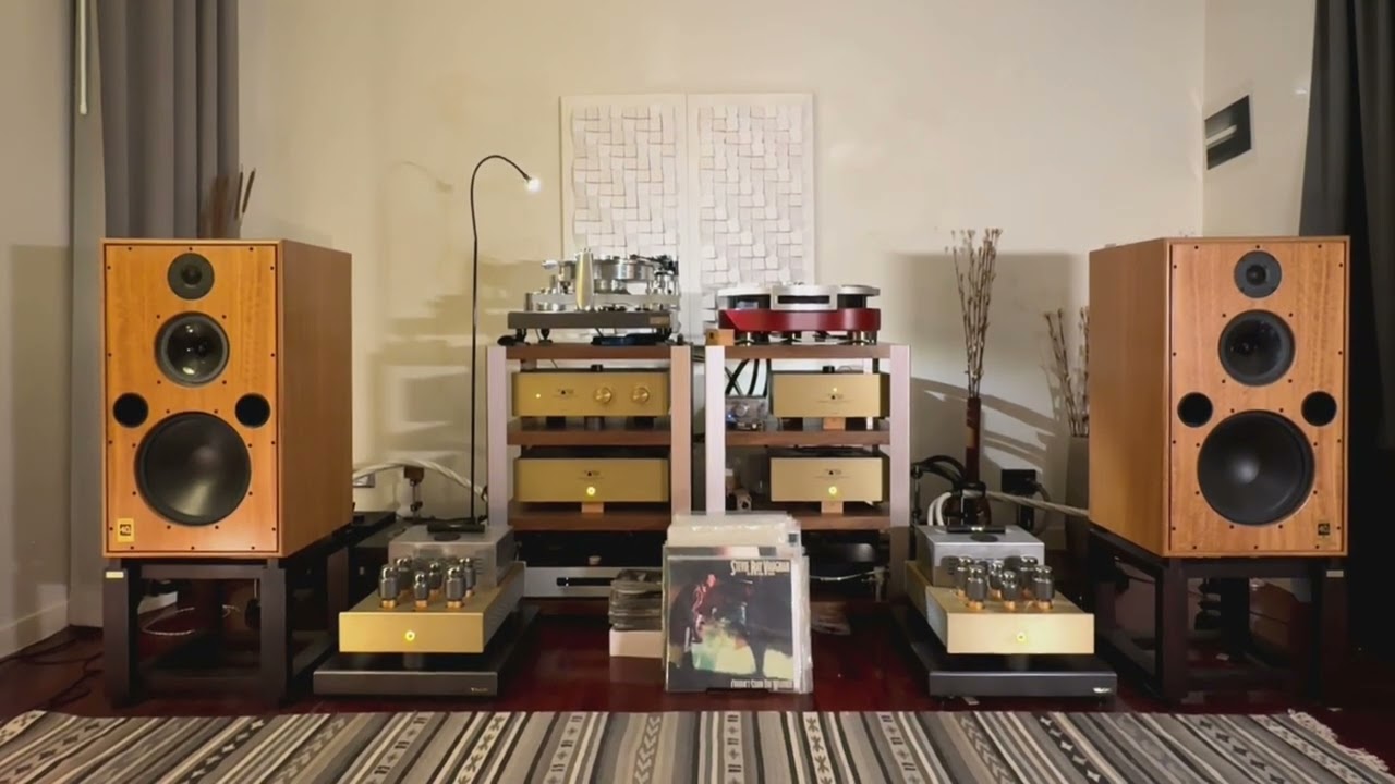 Stevie Ray Vaughan Tin Pan Alley. Harbeth 40.2