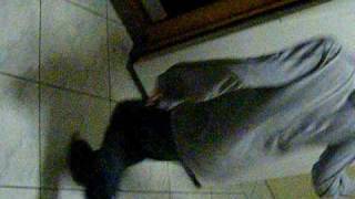 Daniel Shuffling HSR