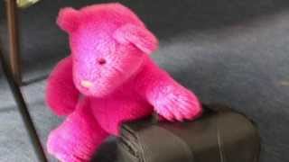 A Bear's Story: E4 ESting