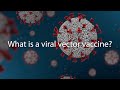 What is a viral vector vaccine? | Viral Questions