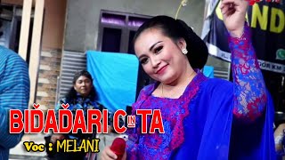 MELANI ft TINTO | BIDADARI CINTA - Cs. CANDRA PESONA (SAMPAI AJAL MENJEMPUTKU KU SLALU MENCINTAMU)