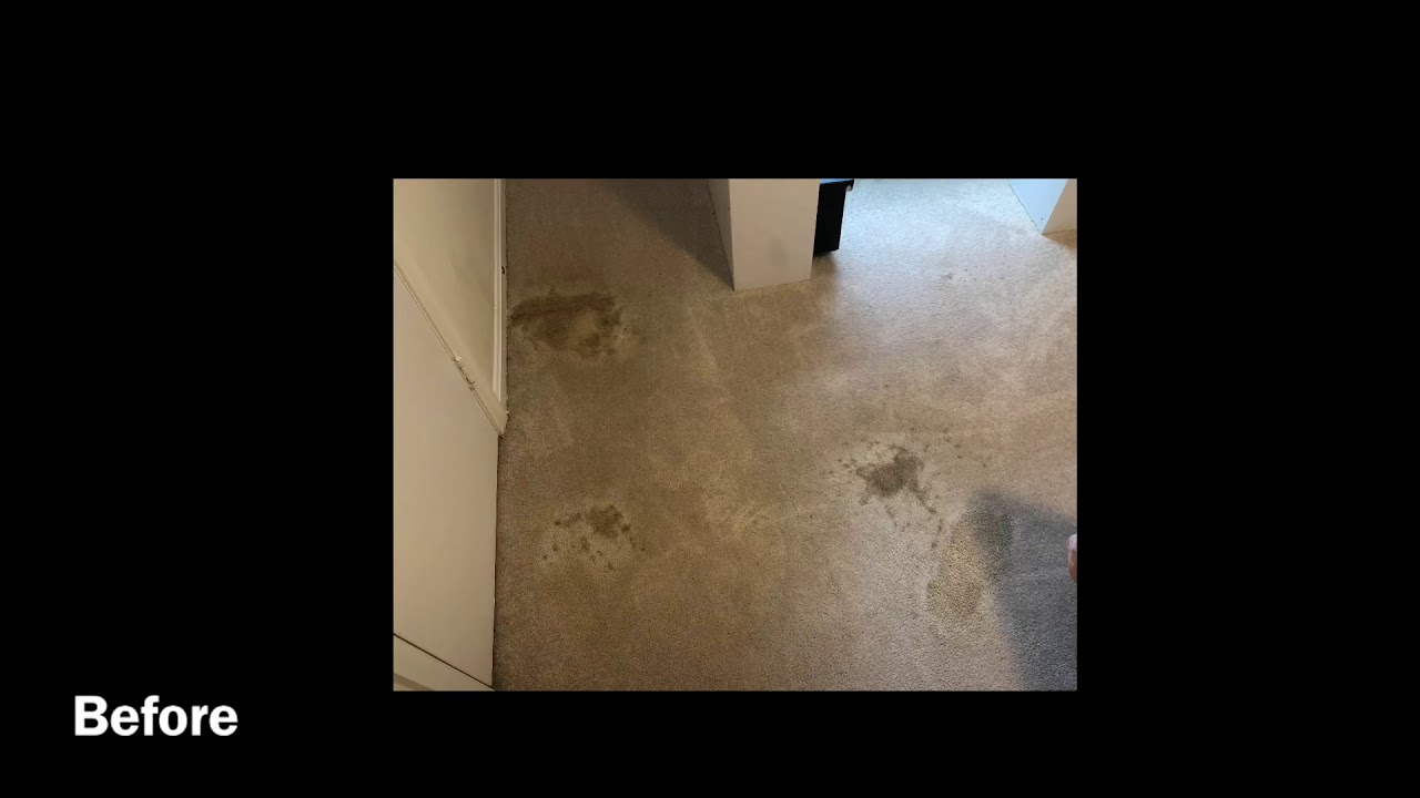 How to remove wine stains from carpet
