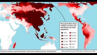 The Mongoloid race