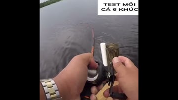 Xem action và test mồi cá giả 6 khúc cực nhạy, mồi câu lure cá chẽm măng mú cá biển