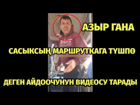 Video: Чоң кишинин бөлүнүшү же чоңойушу