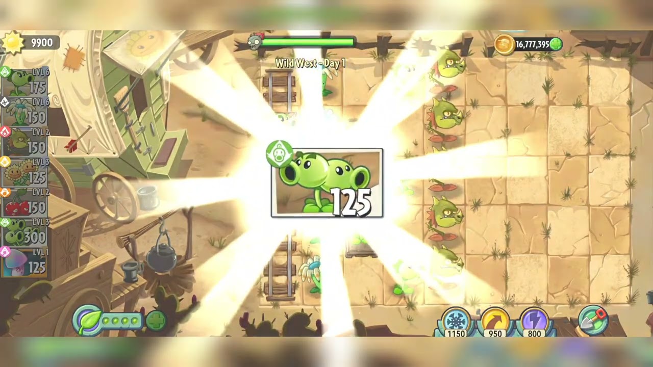 Split PeaShoots peas forward and backward Plants ☘️