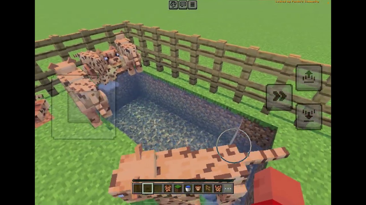 Ultimate Zoo build	🎮🐘