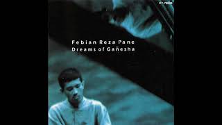 Febian Reza Pane: Salsare