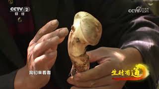 《生财有道》 20231012 跑山客的新财富：大山深处有人家| 财经风云