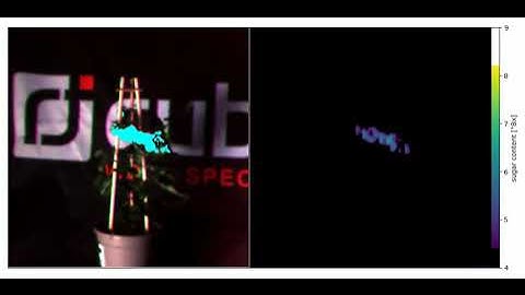 Cultivating Insights: Tomato Recognition and Brix Measurement with Hyperspectral AI