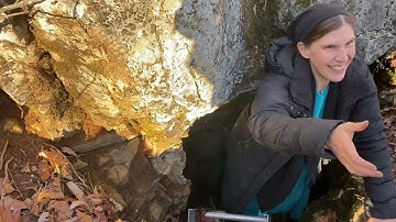 The First Commandment with Promise: Honor Thy Father and Thy Mother | Titus Morris