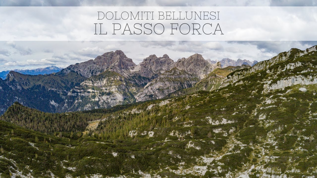 Passo Forca // Dolomiti Bellunesi