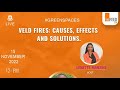 Today&#39;s Discussion Is On Veld Fires. What are the causes, effects and solutions.