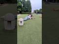 ころがるひなた
