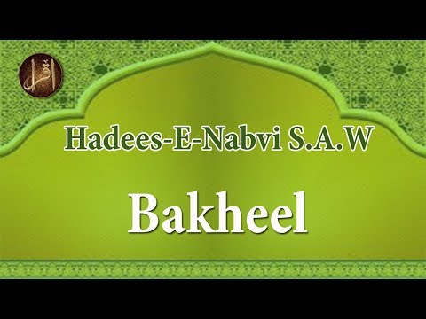 bakheel-|-hadees-|-islamic-|-hd-video