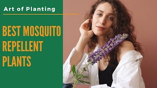 Best Mosquito Repellent Plants | Crops | Keep Insects Away