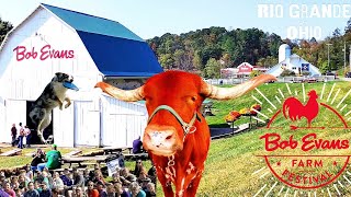 Bob Evans Farm Festival 2024 | Walkthrough | Original Restaurant | Rio Grande, Ohio Profile