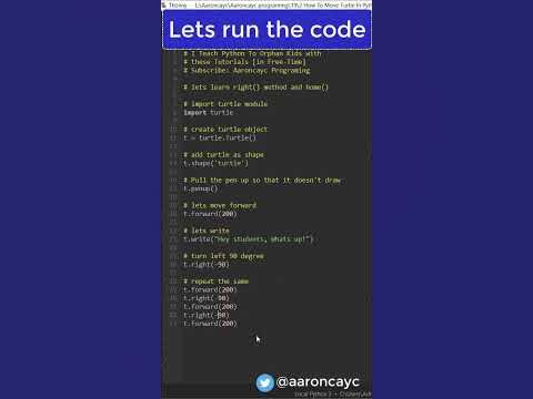 How To Move Turtle In Python - Python Turtle Movement #python # ...