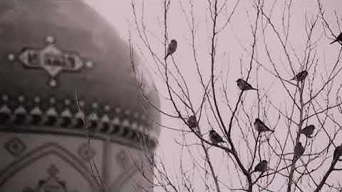 تلاوة خاشعة ما تيسر من سوره النور بصوت الشيخ عبد الباسط عبد الصمد