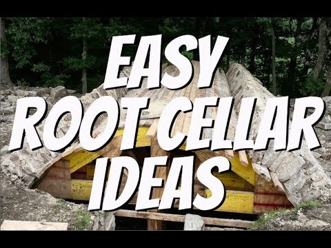 Find Out Now, What Should You Do For Fast Easy Cellar Review?