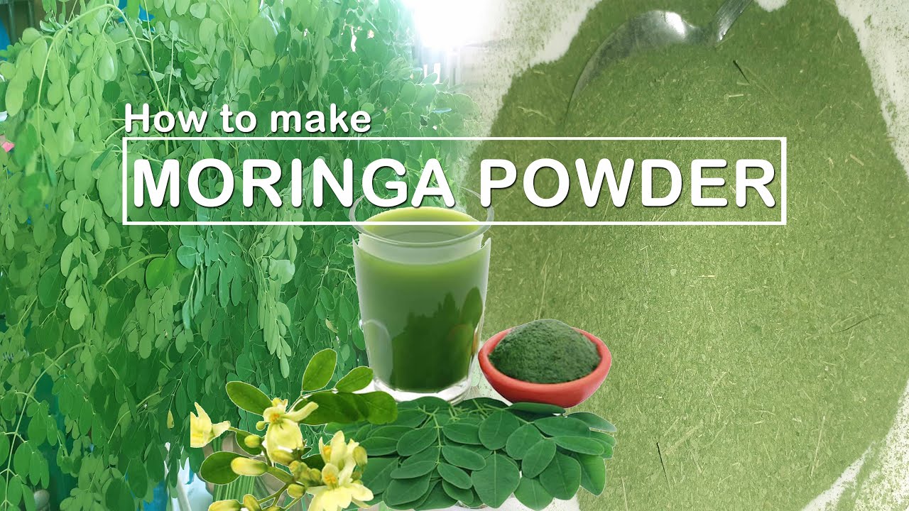 How to make Moringa Powder Malunggay Leaves good for Acid Reflux