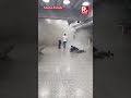 Venezuela Earthquake Triggers Panic at Caracas Airport