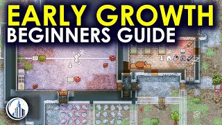 Early Steps For A Young Colony | RimWorld Ultimate Beginners Guide For 2024