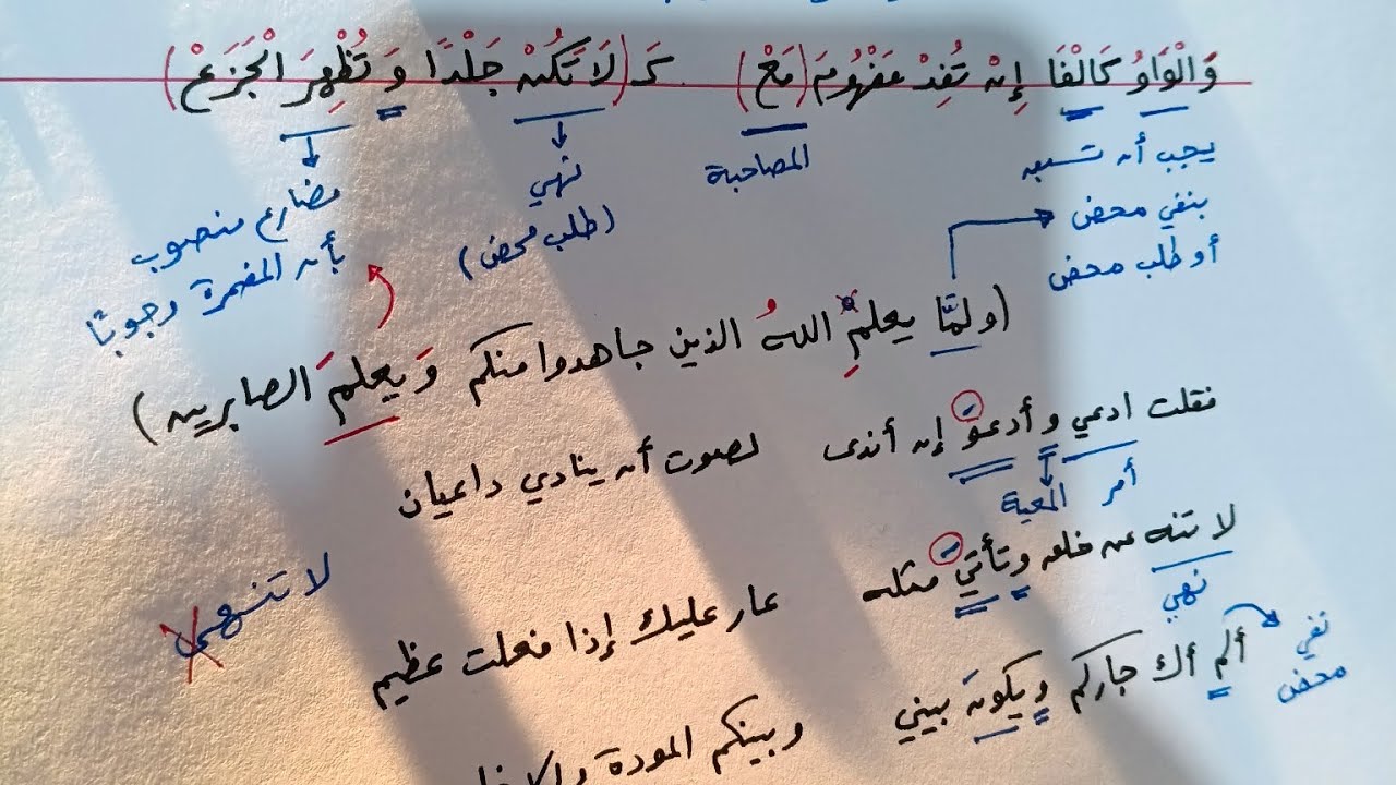 شرح ألفية ابن مالك | 230 | نصب المضارع بأن المضمرة وجوبًا بعد واو المعية 