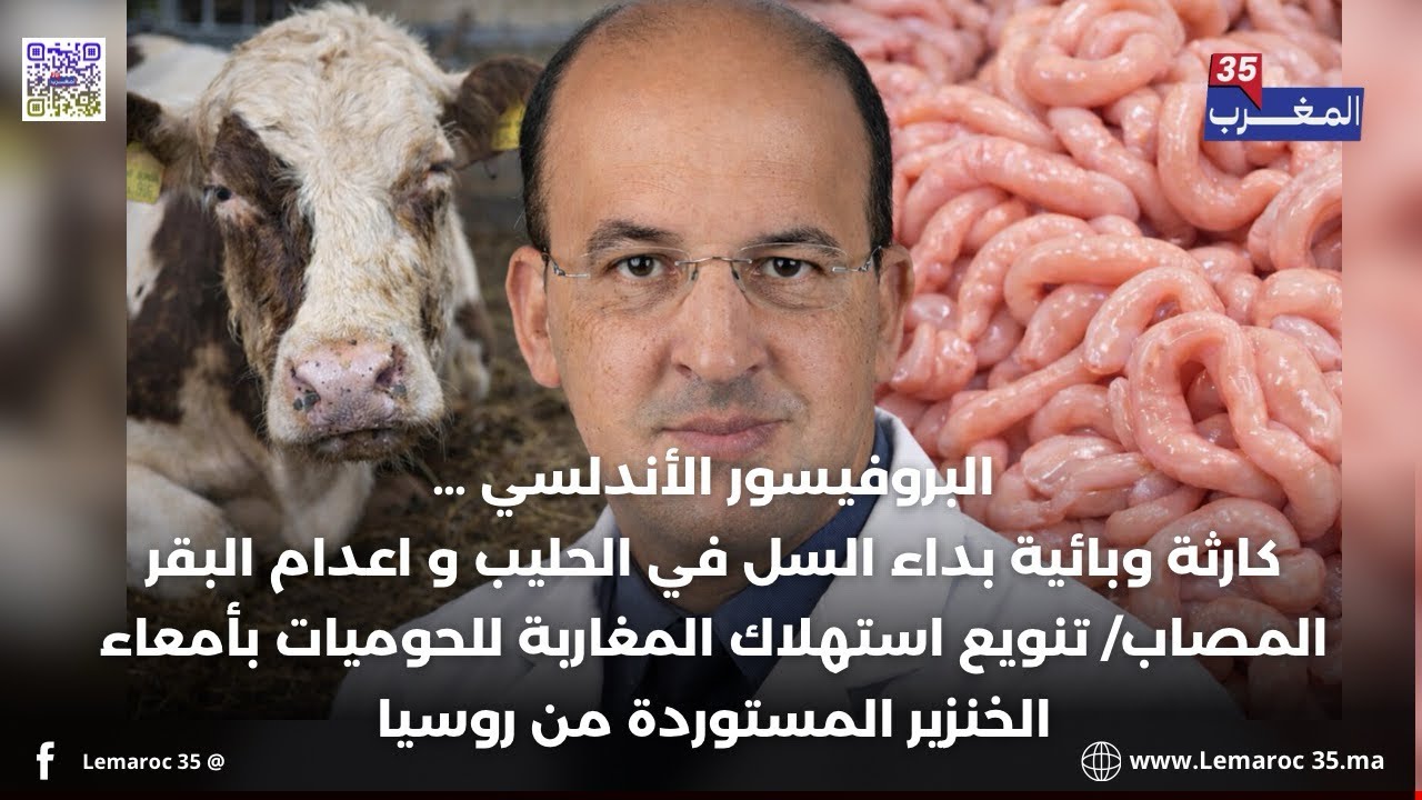 🚨 البروفيسور الأندلسي …كارثة بيئية بإعـ ـدام 27 ألف بقرة / استيراد أمعاء الخنزير الروسي