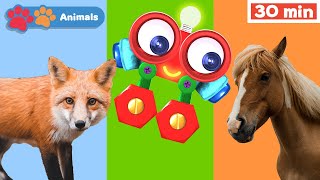 Toddlers Learn Animals with Robi | Educational Early Learning Videos | Animals Names & Sounds
