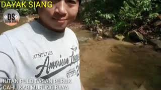 Download Lagu ANAK LEWU MP3