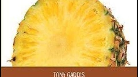 3.3 Body Mass Index - Starting out with Java From Control Structures through Objects 6th Edition