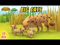 Big Cats Videos Compilation - Leo the Wildlife Ranger | Animation | For Kids | Family