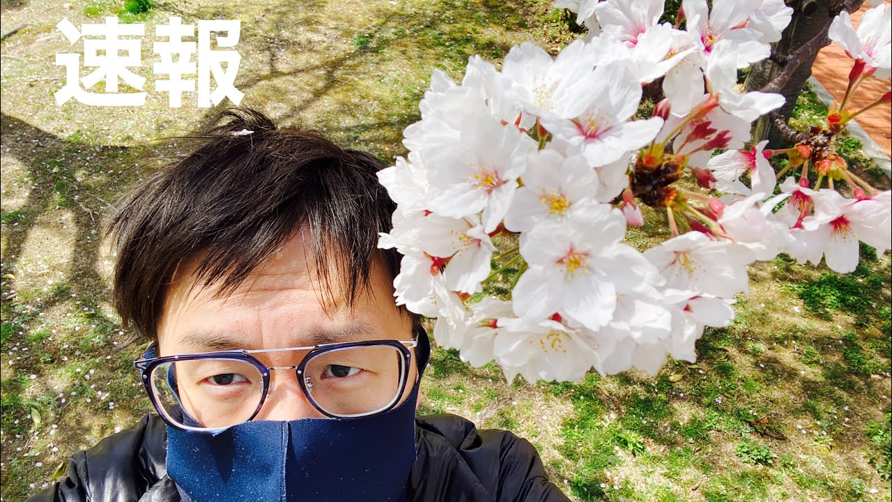 速報 桜ラップのロータススターの再販はもうすぐ来ます Fortnite Youtube 速報 桜ラップのロータススターの再販はもうすぐ来ます Fortnite Youtube