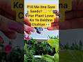 POV: You finally found an affordable store for organic seeds 🌱😍 #shorts #viral #viralvideo