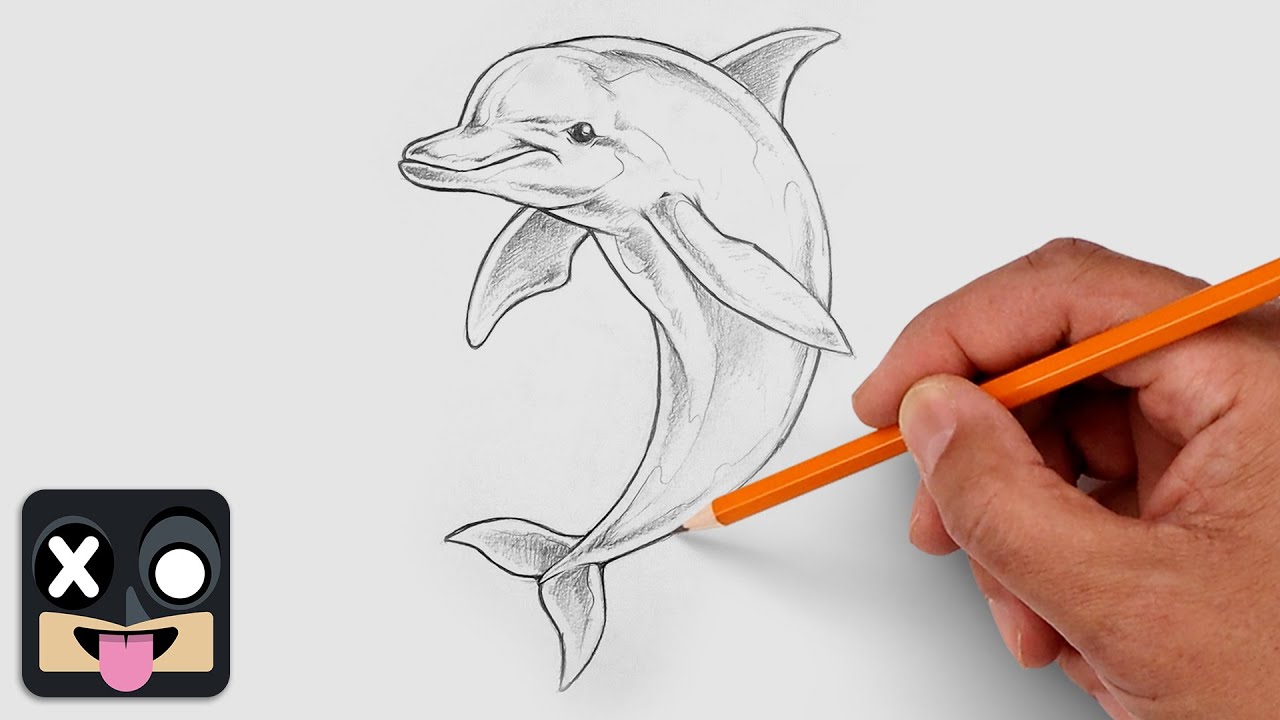 Как нарисовать дельфина | Пошаговый урок рисования