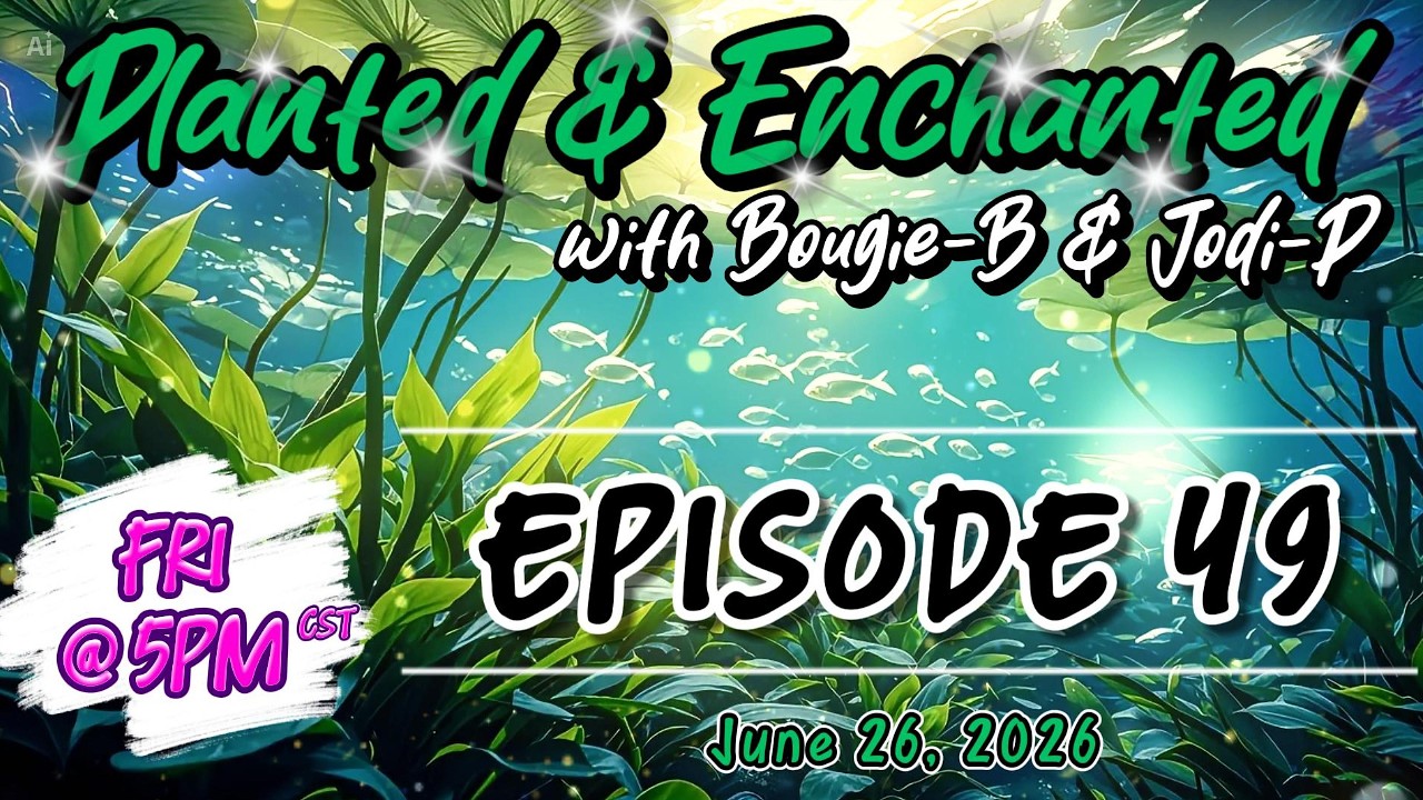 Planted & Enchanted with Bougie-B & Jodi-P - Episode 49