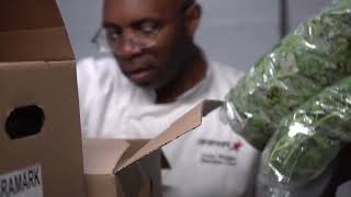 Every Second Counts: Reducing Food Waste with Bamford Produce