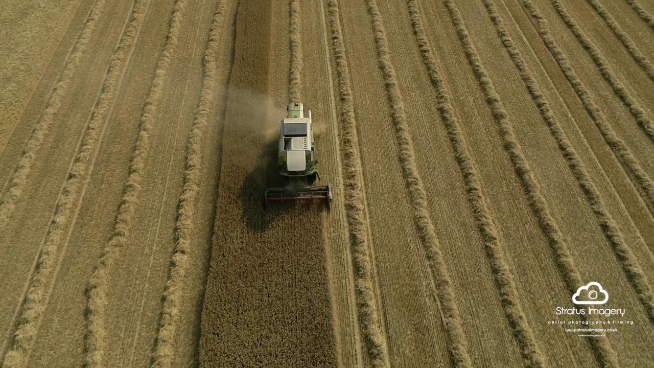 Stock Claas Harvester 204